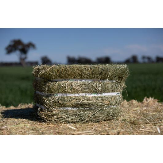 HAY BALES MULTICUBE TEFF Ranges Country