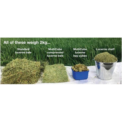 HAY BALES MULTICUBE TEFF