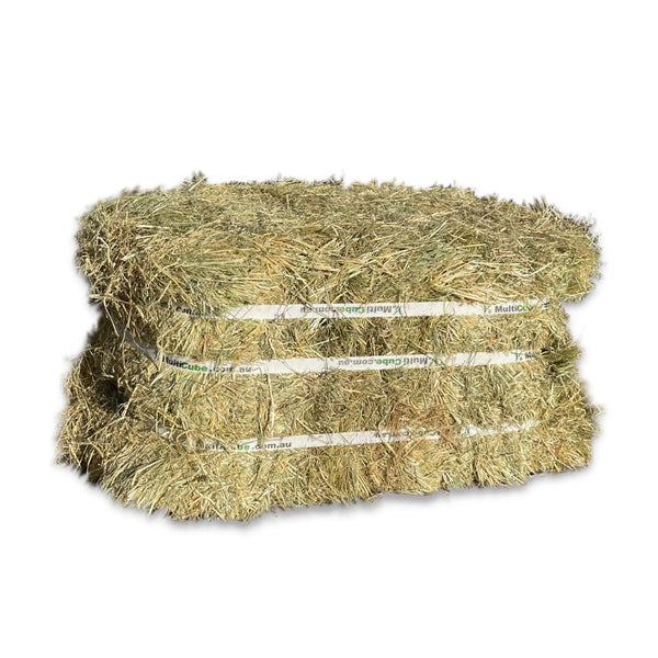 HAY BALES TEFF COMPACT-Ranges Country