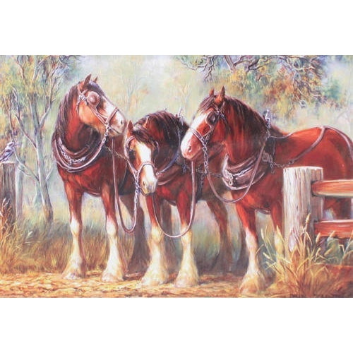HORSE WHISPERS GIFT CARD-Ranges Country