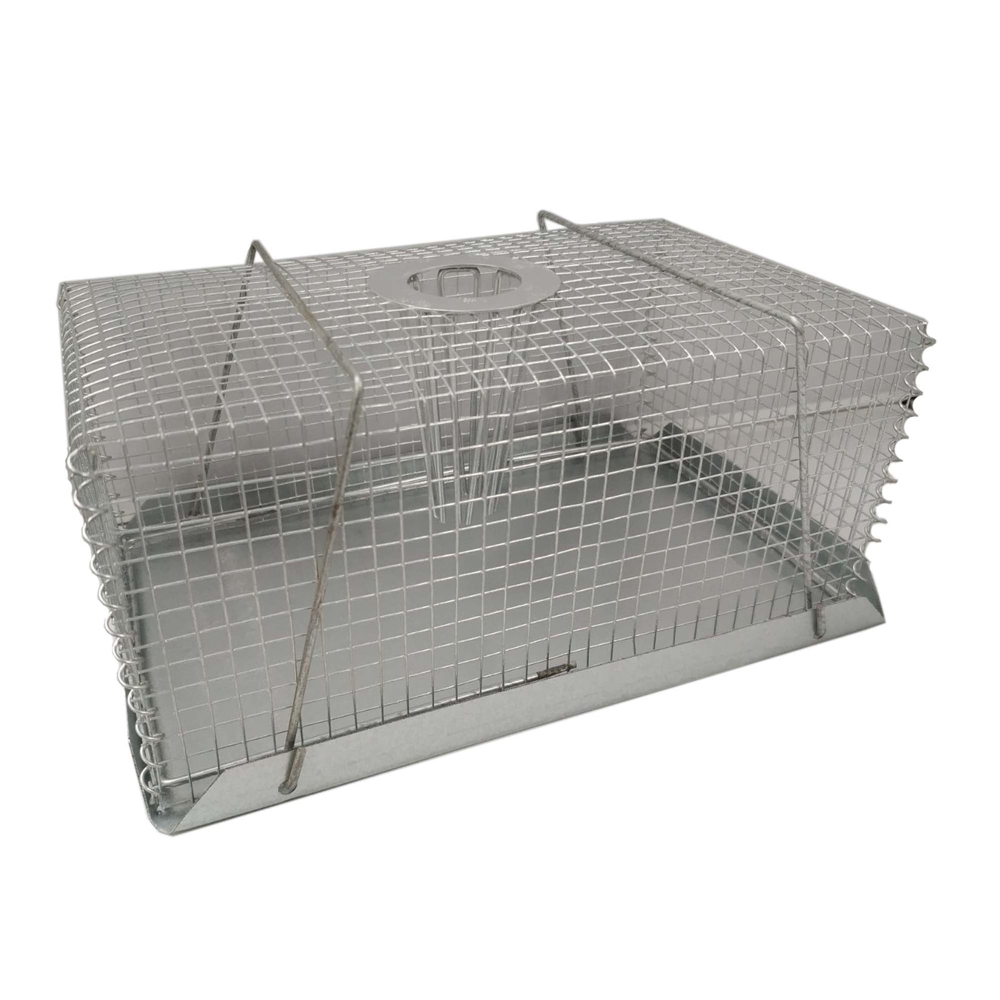 IPETZ HUMANE WIRE MOUSE TRAP-Ranges Country