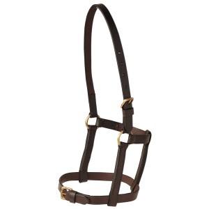 LEATHER FOAL HALTER-Ranges Country