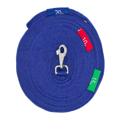 LUNGE LEAD WITH CIRCLE MARKERS