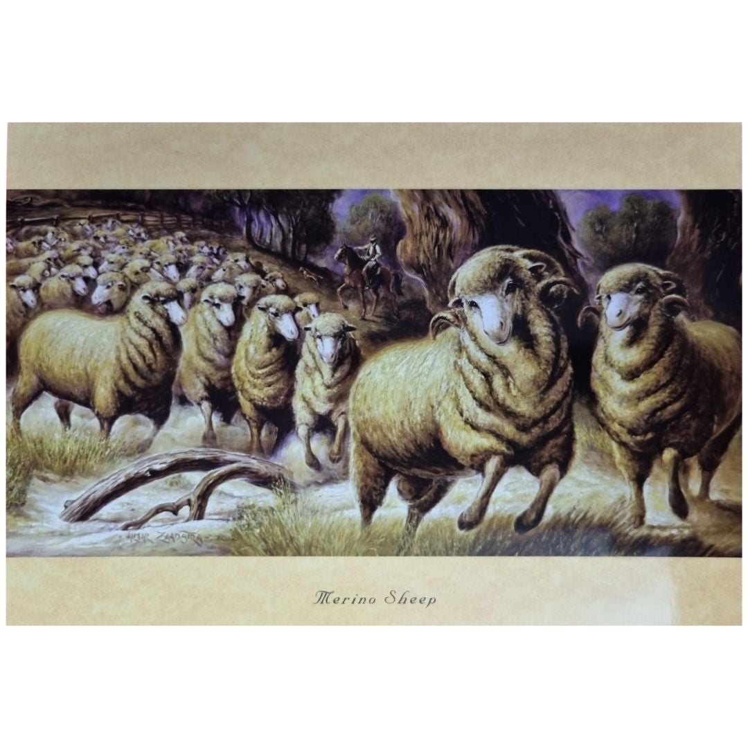 MERINO SHEEP GIFT CARD-Ranges Country
