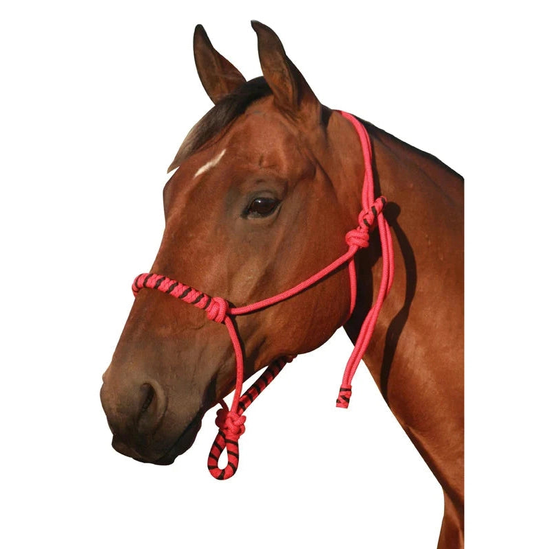 NAVAHO TWO TONE ROPE HALTER-Ranges Country