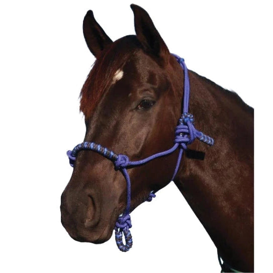 Rope Ranges NAVAHO TWO TONE ROPE HALTER – Ranges Country