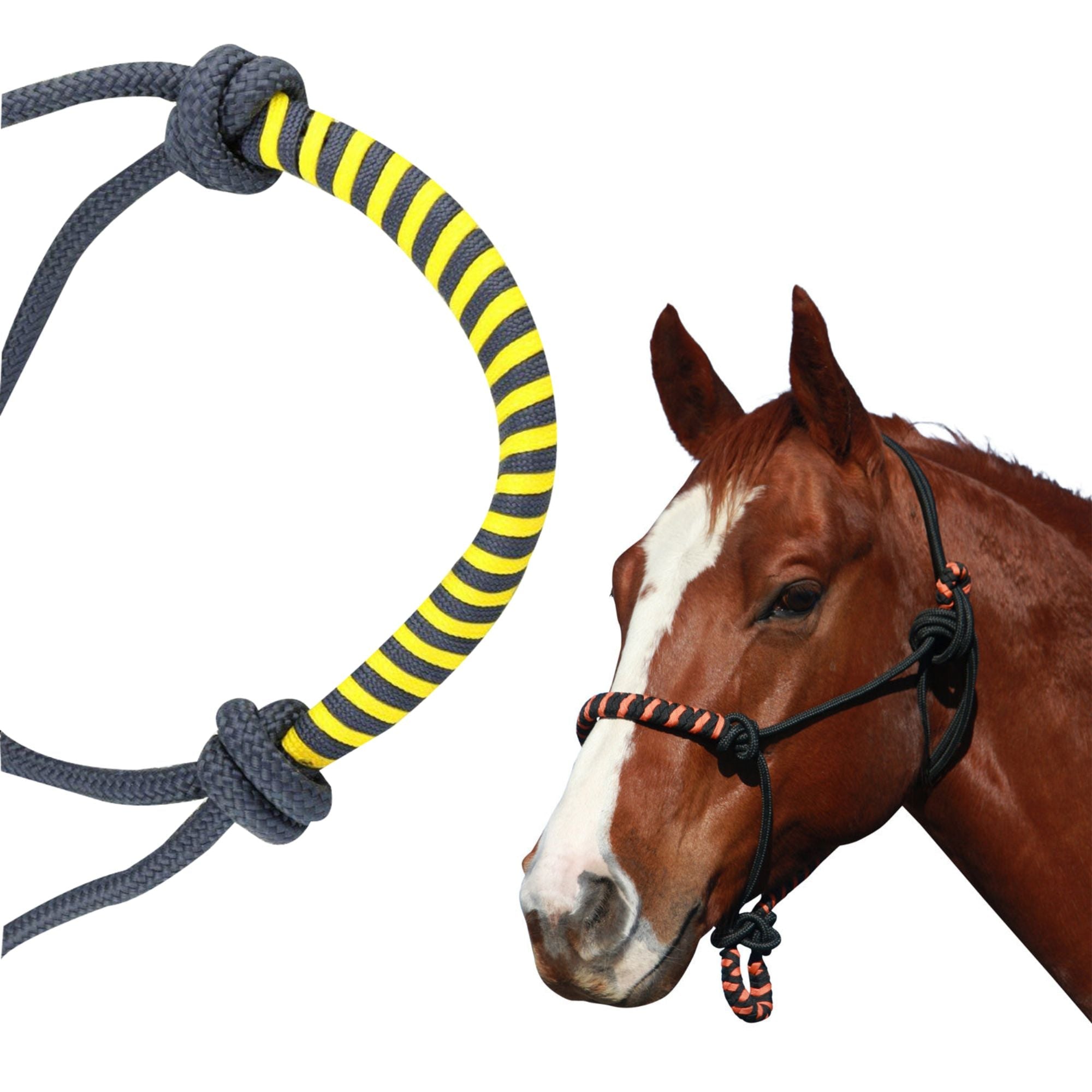 Rope Ranges NAVAHO TWO TONE ROPE HALTER – Ranges Country