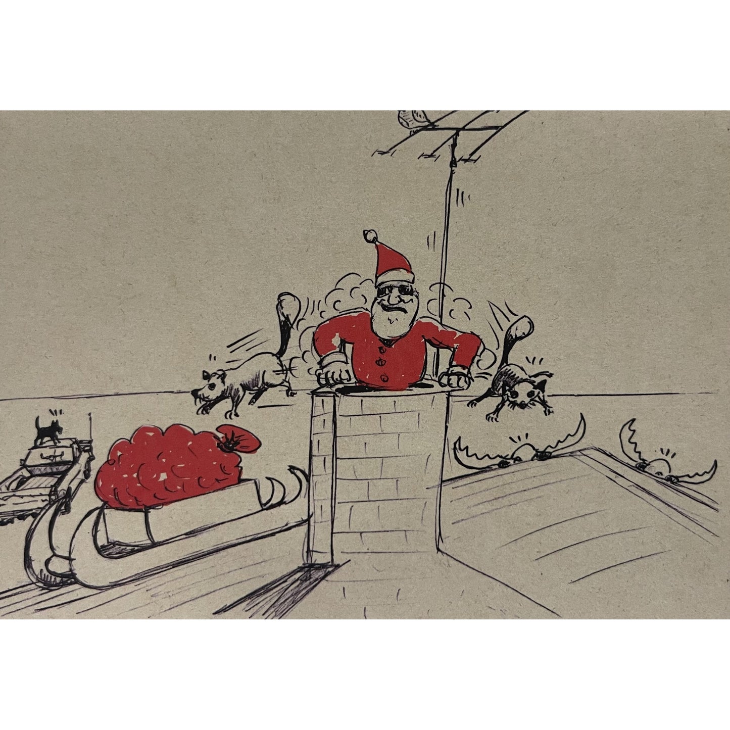 OUTBACK ANTICS CHRISTMAS CARD