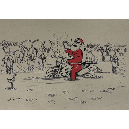 OUTBACK ANTICS CHRISTMAS CARD
