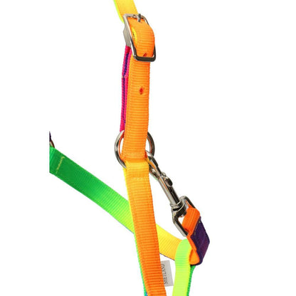 PICCOLO HALTER