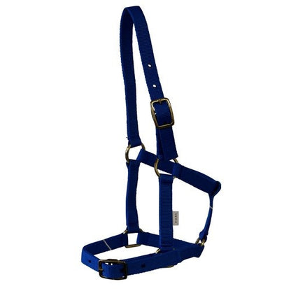 RANCHER FOAL HALTER