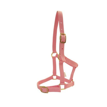 RANCHER FOAL HALTER-Ranges Country