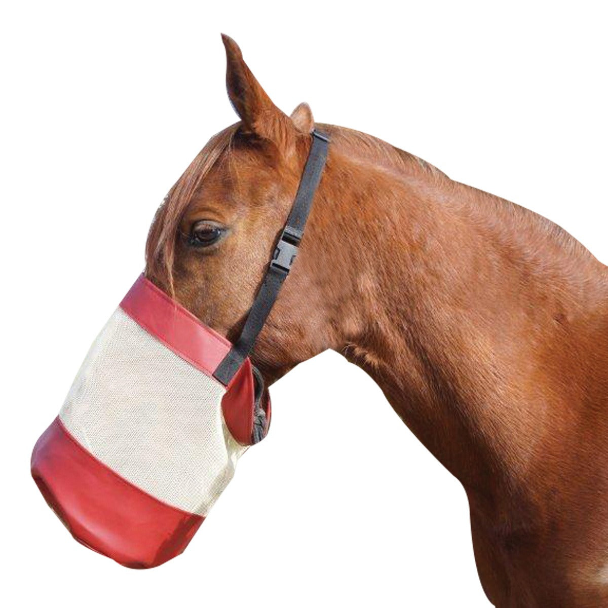 SHOWCRAFT DELUXE NOSE FEED BAG-Ranges Country