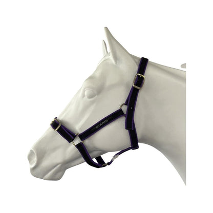 STATUS NYLON HALTER-Ranges Country