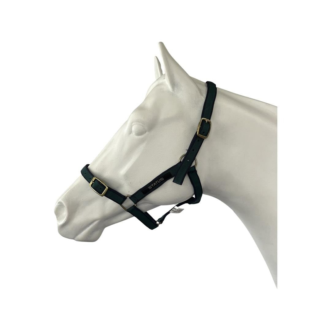 STATUS NYLON HALTER-Ranges Country