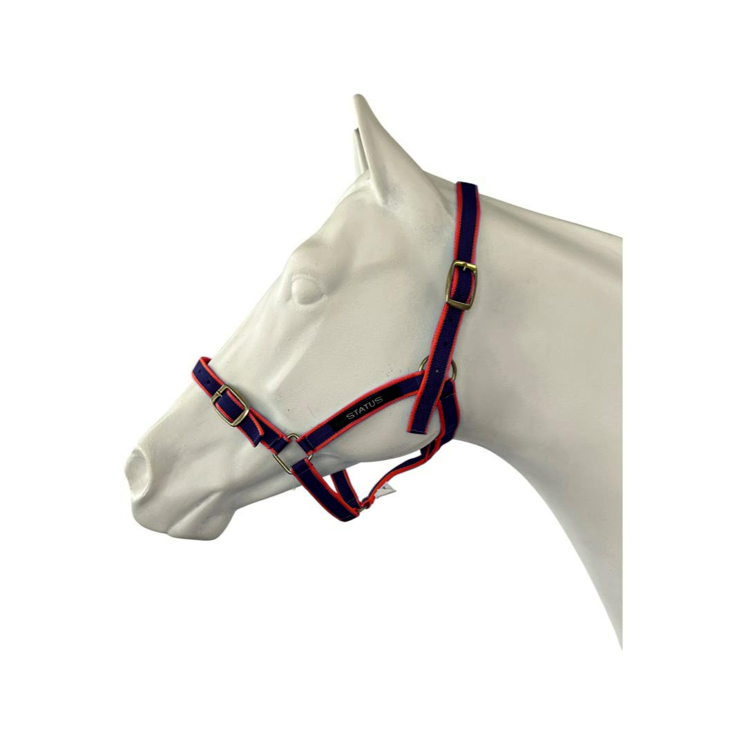 STATUS NYLON HALTER-Ranges Country