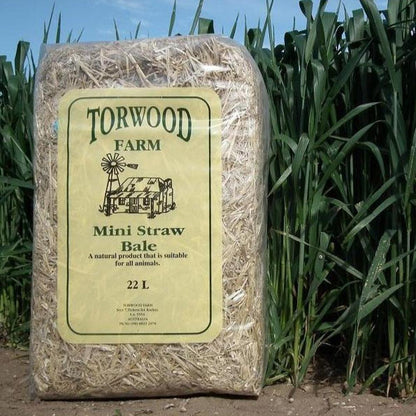 TORWOOD MINI STRAW HAY BALES-Ranges Country