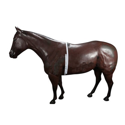 WEIGH BAND FOR HORSES