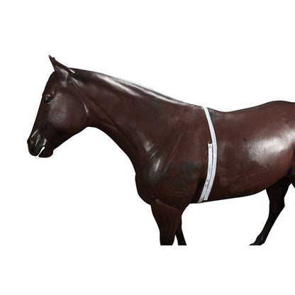 WEIGH BAND FOR HORSES